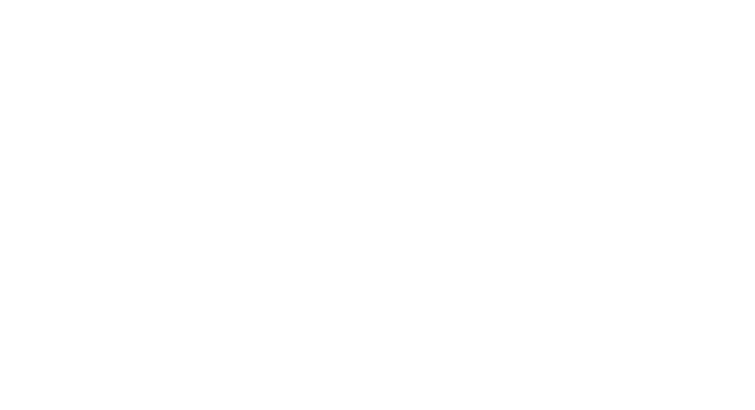 PNE Logo 1 White